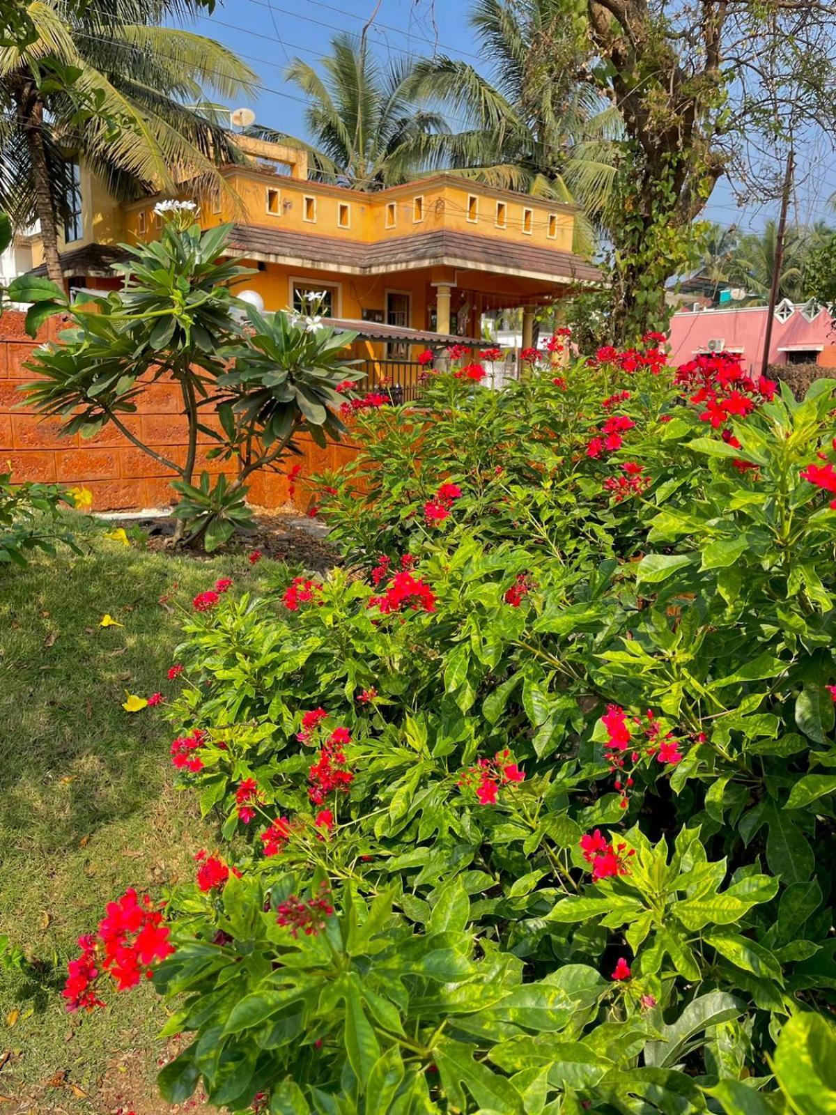 Scarlet Resort Alibag Luaran gambar